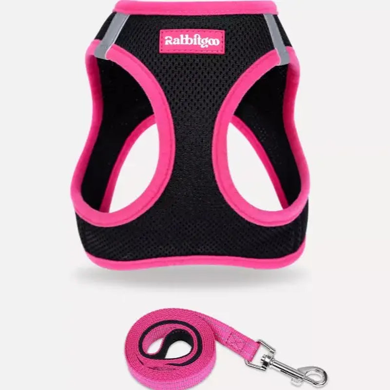 Rabbitgoo Minifit Small Dog Harness and Leash Set for Enhanced Comfort and Control