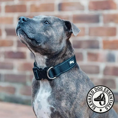 Premium Tactical Canine Collar