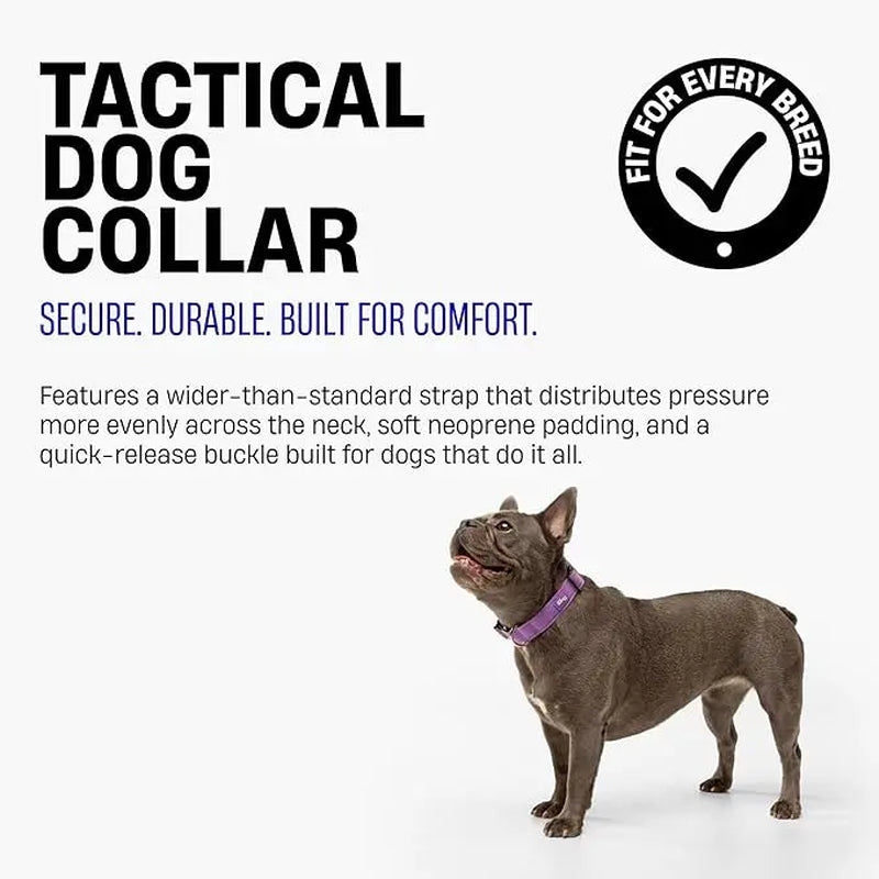 Premium Tactical Canine Collar