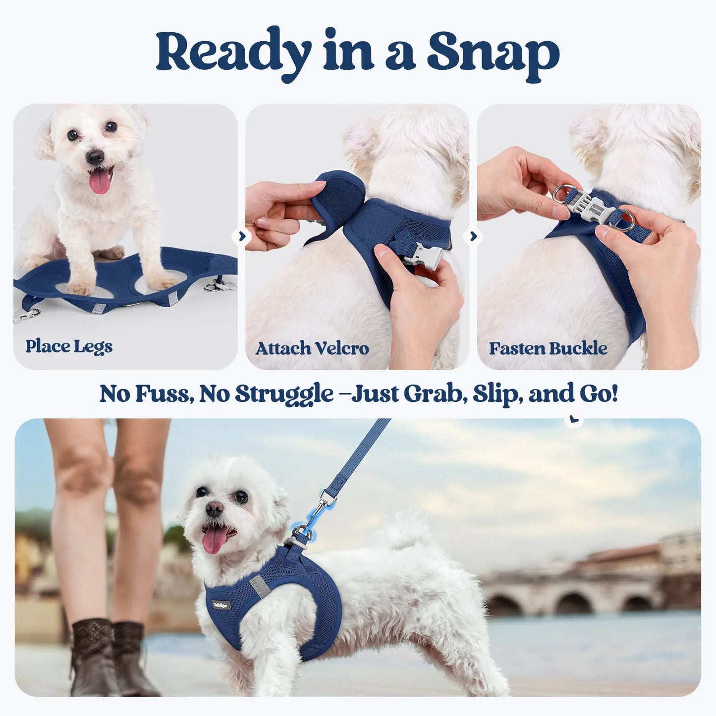 Rabbitgoo Minifit Small Dog Harness and Leash Set for Enhanced Comfort and Control