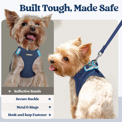 Rabbitgoo Minifit Small Dog Harness and Leash Set for Enhanced Comfort and Control