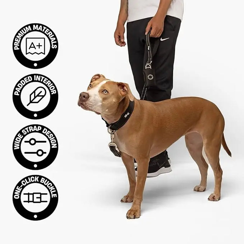 Premium Tactical Canine Collar