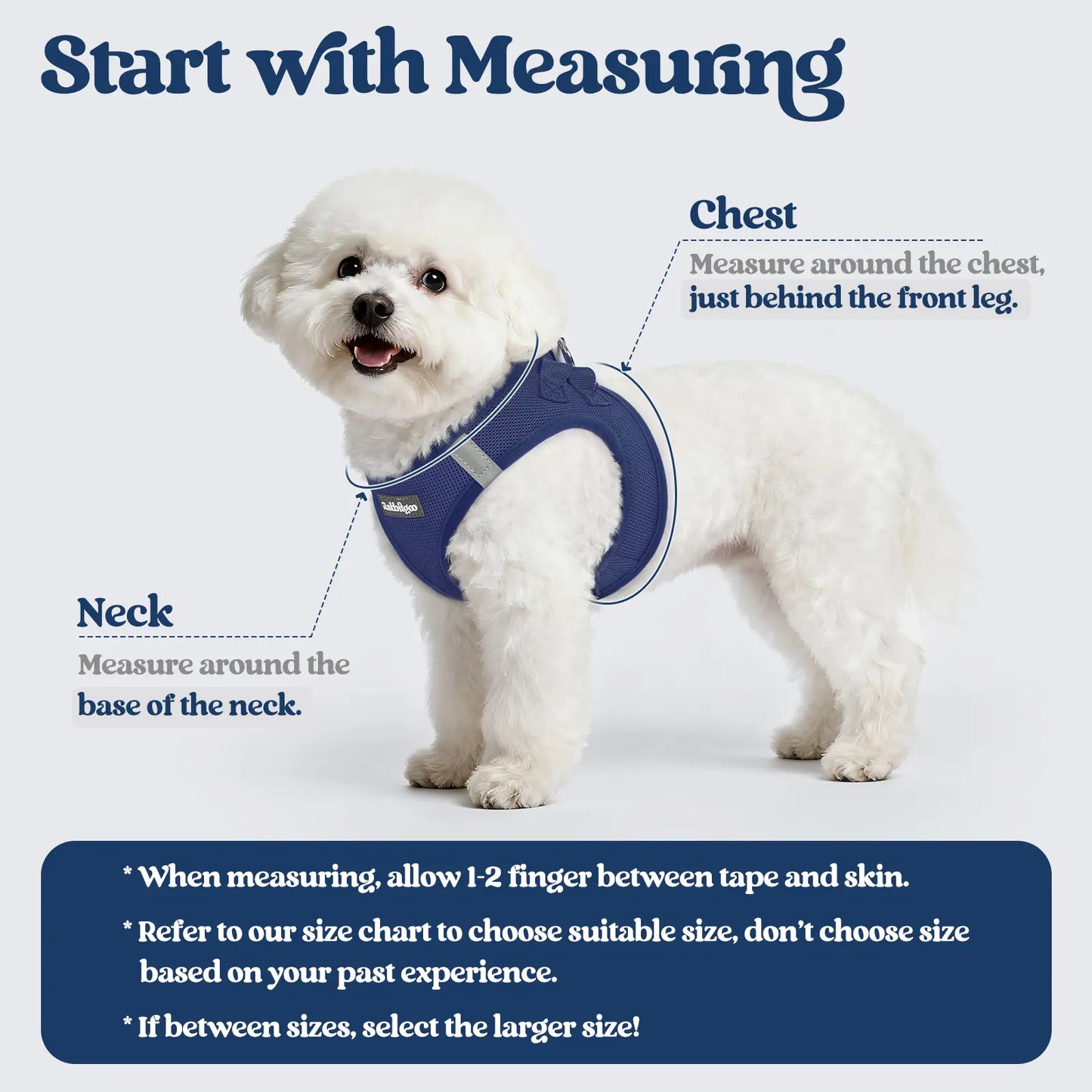Rabbitgoo Minifit Small Dog Harness and Leash Set for Enhanced Comfort and Control