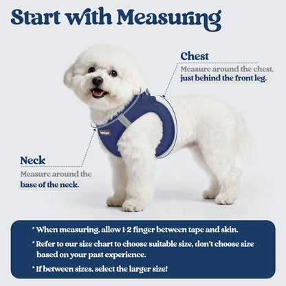 Rabbitgoo Minifit Small Dog Harness and Leash Set for Enhanced Comfort and Control