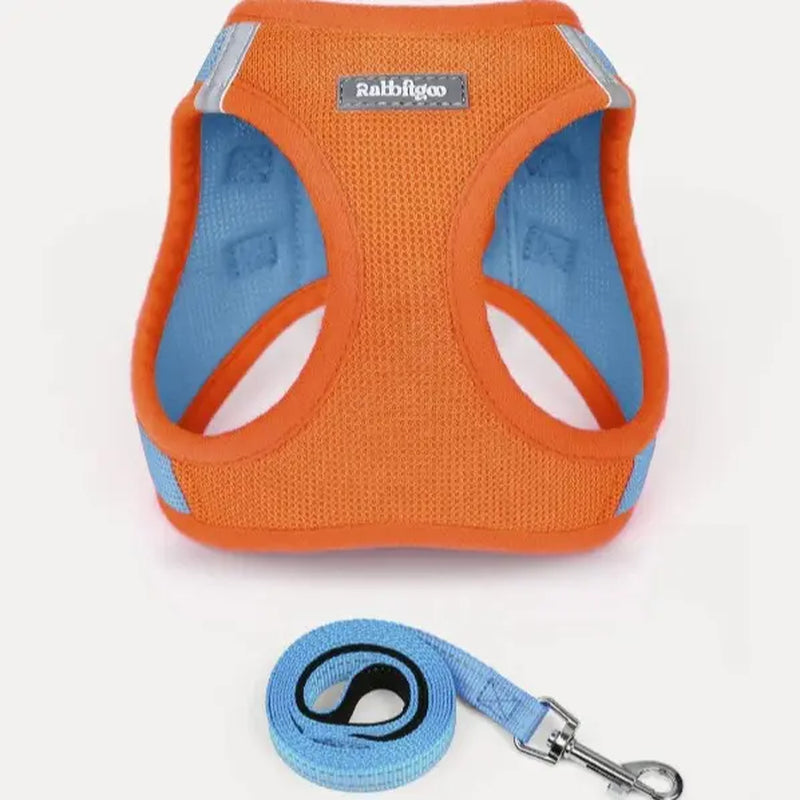 Rabbitgoo Minifit Small Dog Harness and Leash Set for Enhanced Comfort and Control