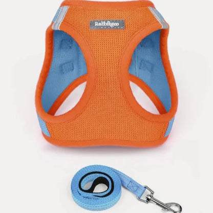 Rabbitgoo Minifit Small Dog Harness and Leash Set for Enhanced Comfort and Control