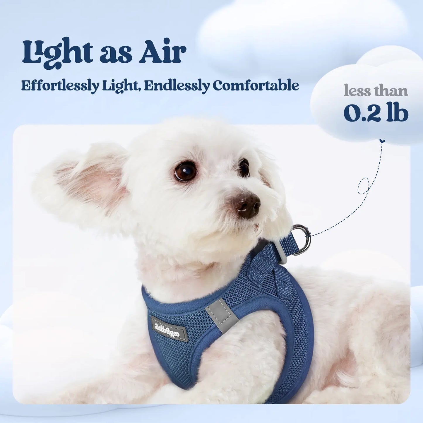 Rabbitgoo Minifit Small Dog Harness and Leash Set for Enhanced Comfort and Control