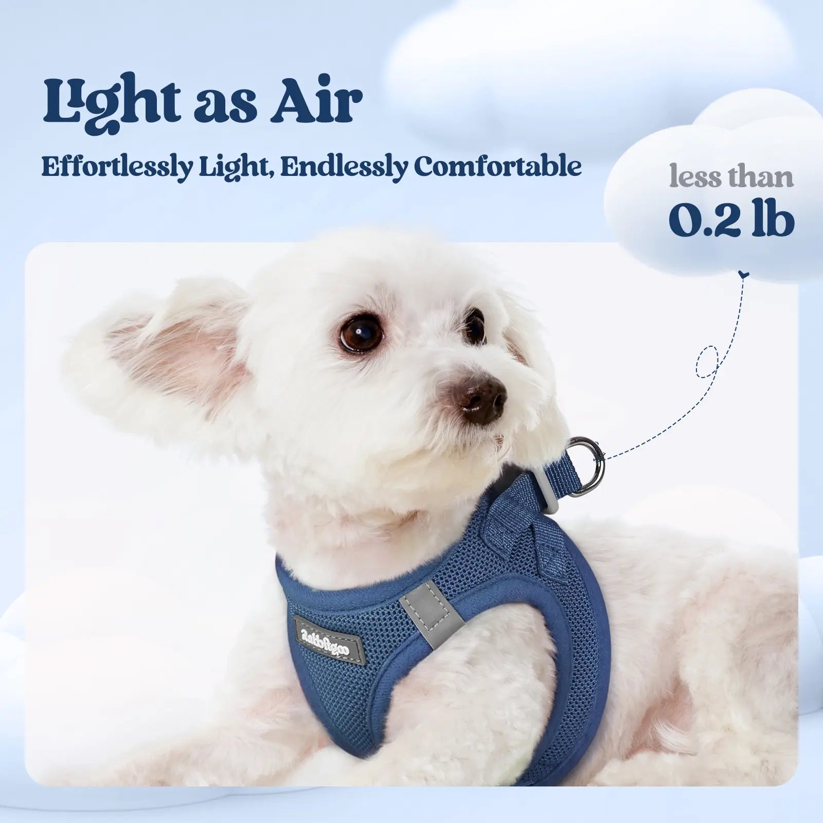 Rabbitgoo Minifit Small Dog Harness and Leash Set for Enhanced Comfort and Control