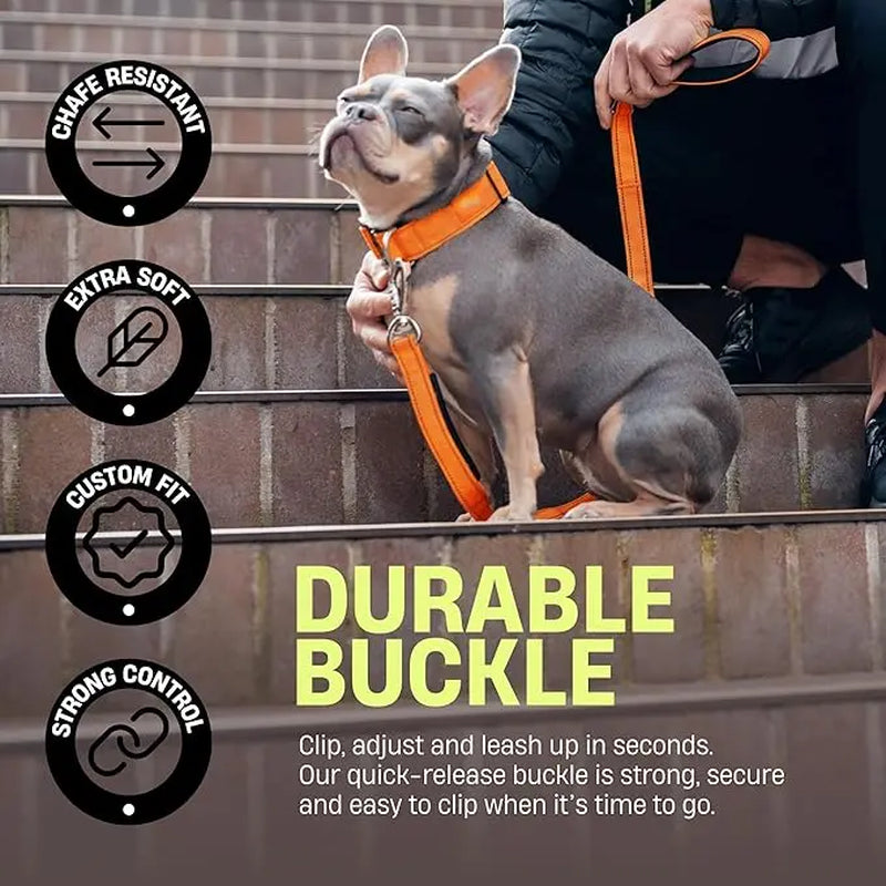 Premium Tactical Canine Collar