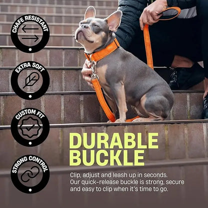 Premium Tactical Canine Collar