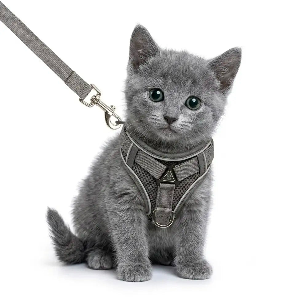 Escape-Proof Adjustable Cat Leash and Collar Set with Reflective Soft Mesh Vest and Summer Version for Comfortable, Breathable, and Moisture-Wicking Walking