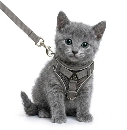 Escape-Proof Adjustable Cat Leash and Collar Set with Reflective Soft Mesh Vest and Summer Version for Comfortable, Breathable, and Moisture-Wicking Walking