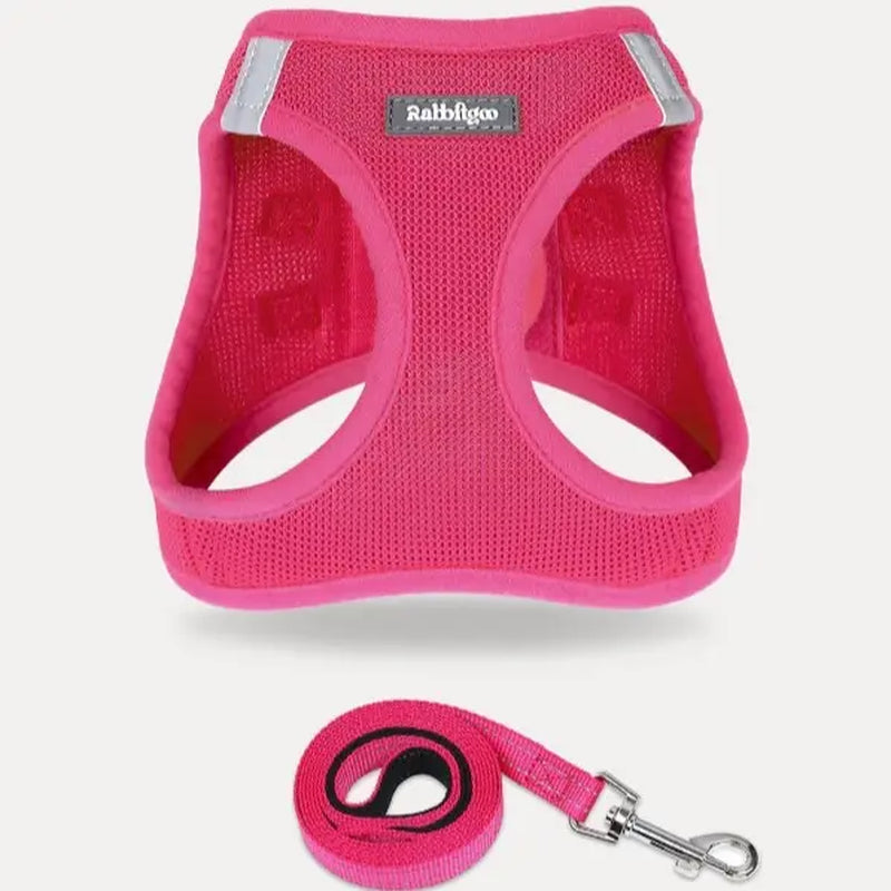 Rabbitgoo Minifit Small Dog Harness and Leash Set for Enhanced Comfort and Control