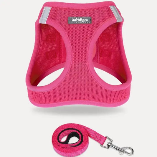 Rabbitgoo Minifit Small Dog Harness and Leash Set for Enhanced Comfort and Control