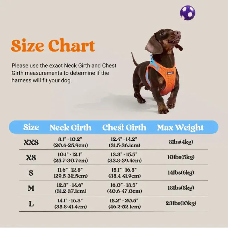 Rabbitgoo Minifit Small Dog Harness and Leash Set for Enhanced Comfort and Control