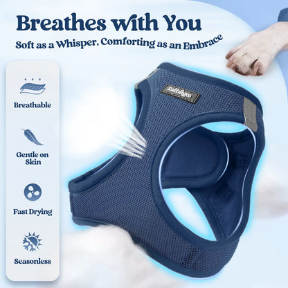 Rabbitgoo Minifit Small Dog Harness and Leash Set for Enhanced Comfort and Control