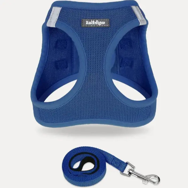 Rabbitgoo Minifit Small Dog Harness and Leash Set for Enhanced Comfort and Control