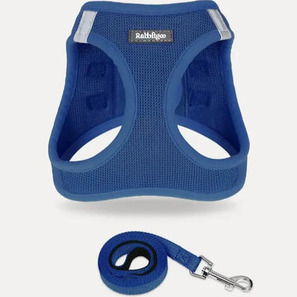 Rabbitgoo Minifit Small Dog Harness and Leash Set for Enhanced Comfort and Control
