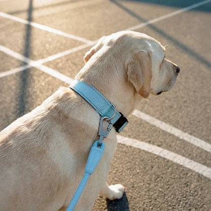 Premium Tactical Canine Collar